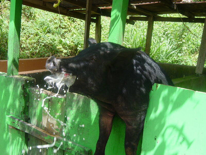 Photo 25