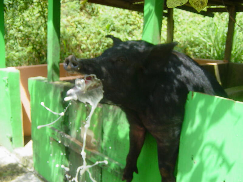 Photo 27
