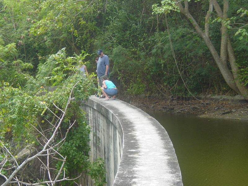 Photo 34
