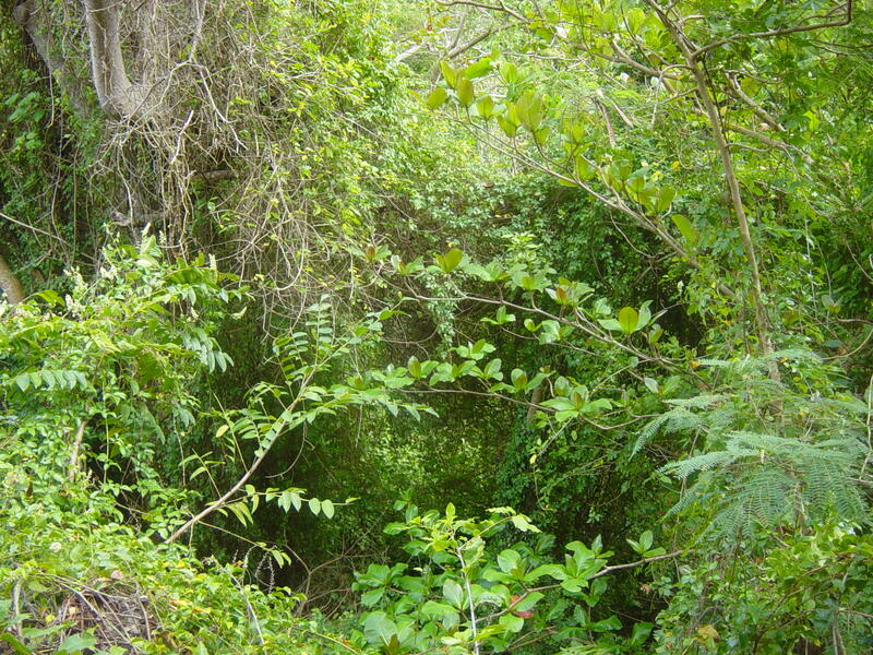 Photo 37