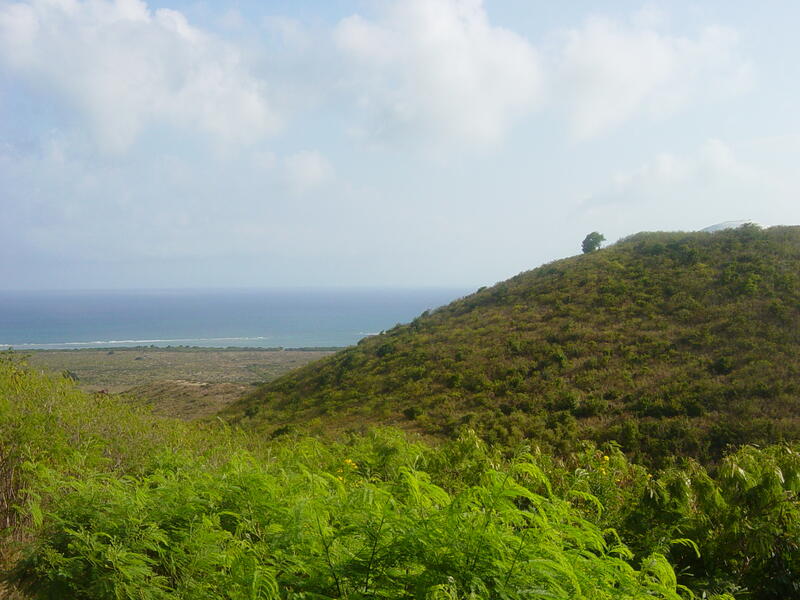 Photo 40