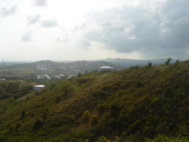 Photo 41