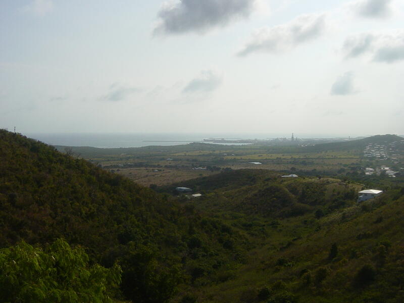 Photo 42