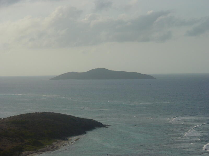Photo 44