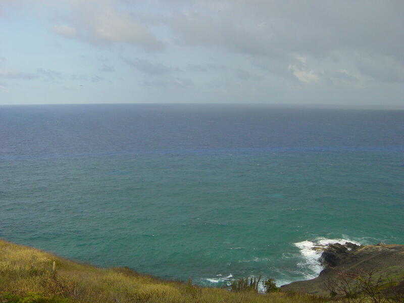 Photo 50
