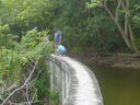 Photo 34