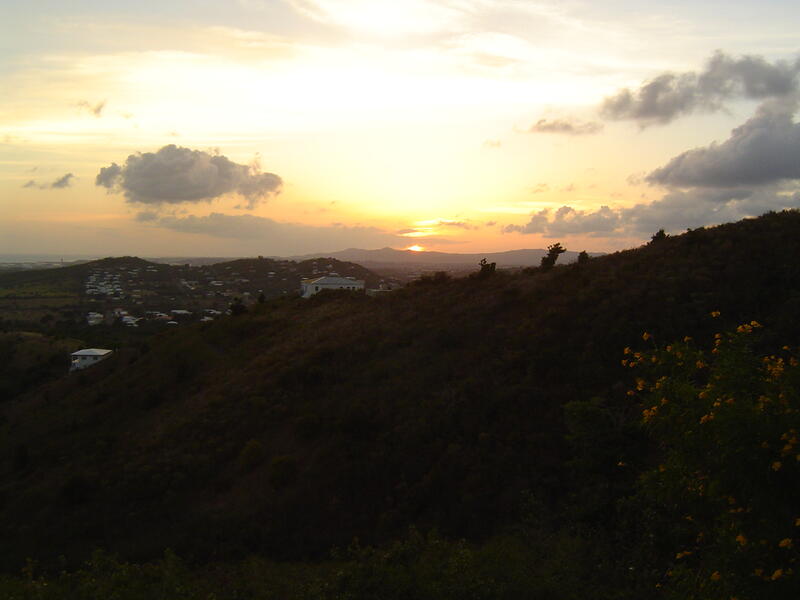 Photo 49