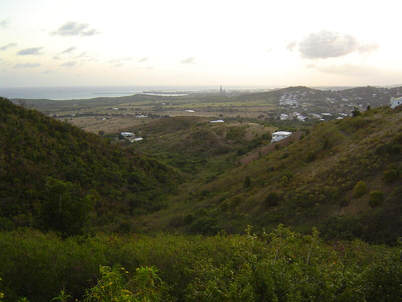 Photo 50