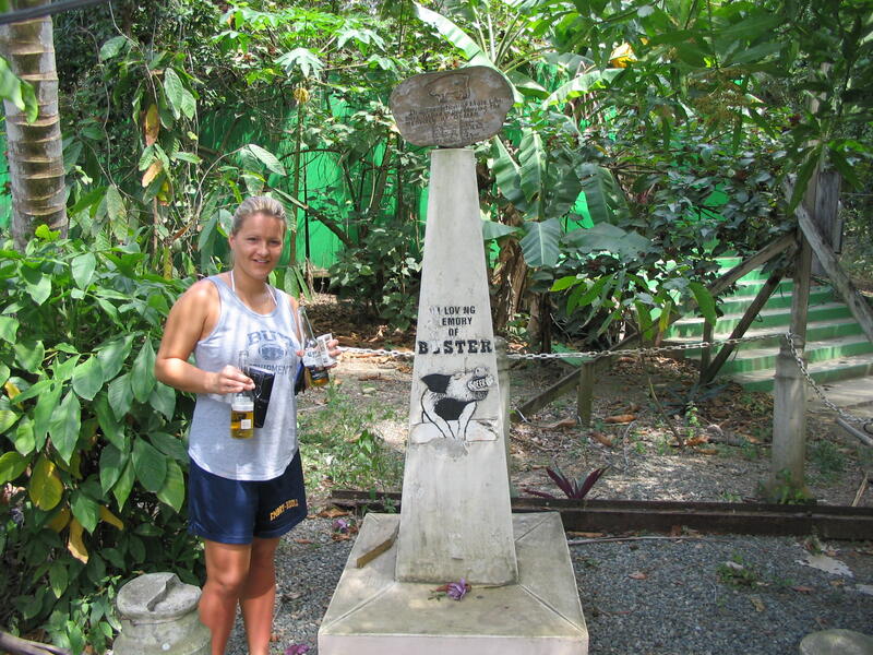 Photo 24