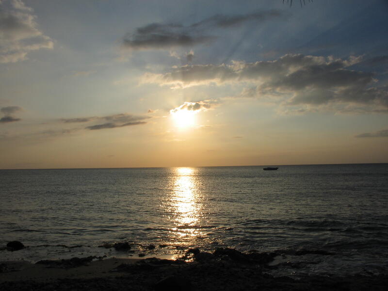 Photo 28