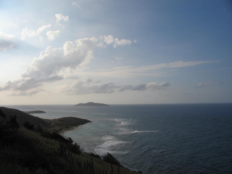 Photo 44