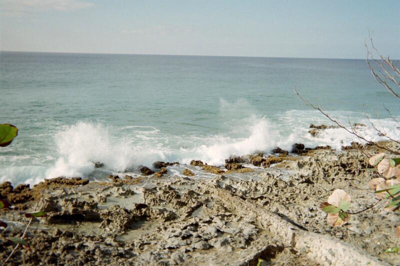 Photo 43