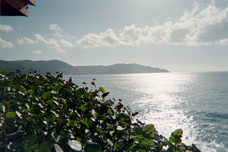 Photo 44