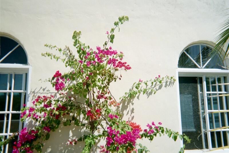 Photo 45