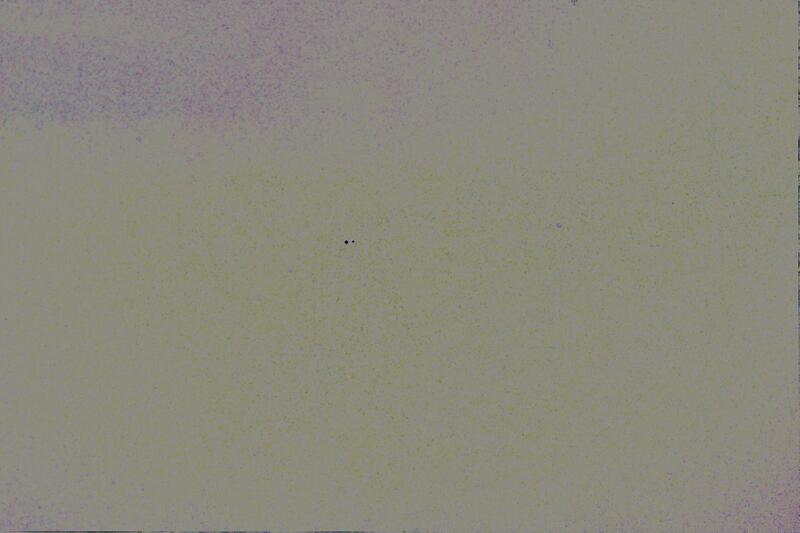 Photo 51